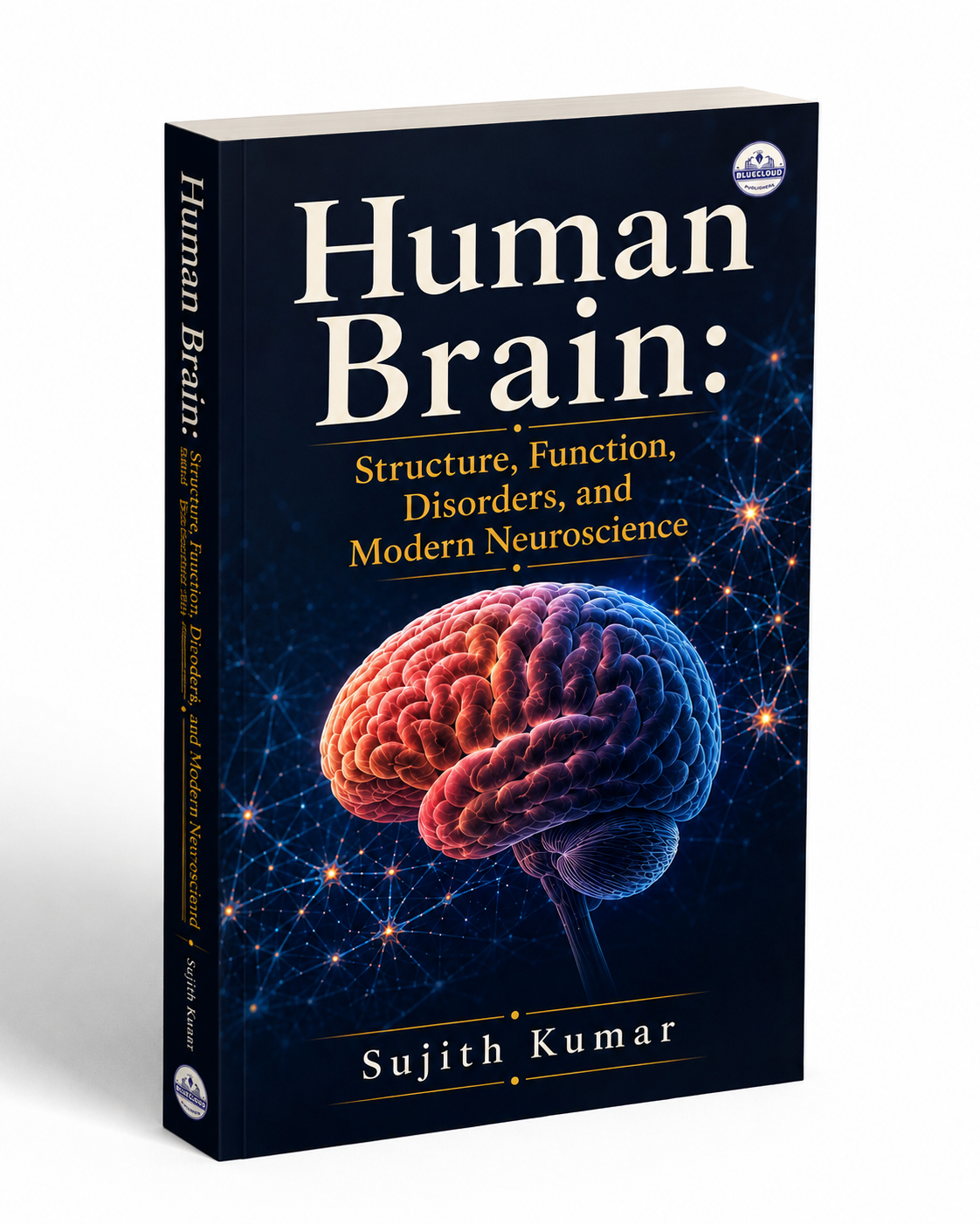 Human Brain - Image 2
